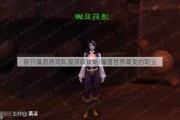 新开魔兽游戏私服顶级攻略!魔兽世界最美的职业