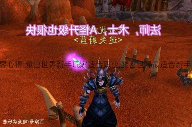 魔兽世界心得:魔兽世界新手玩家适合职业,魔兽世界最适合新手的职业!