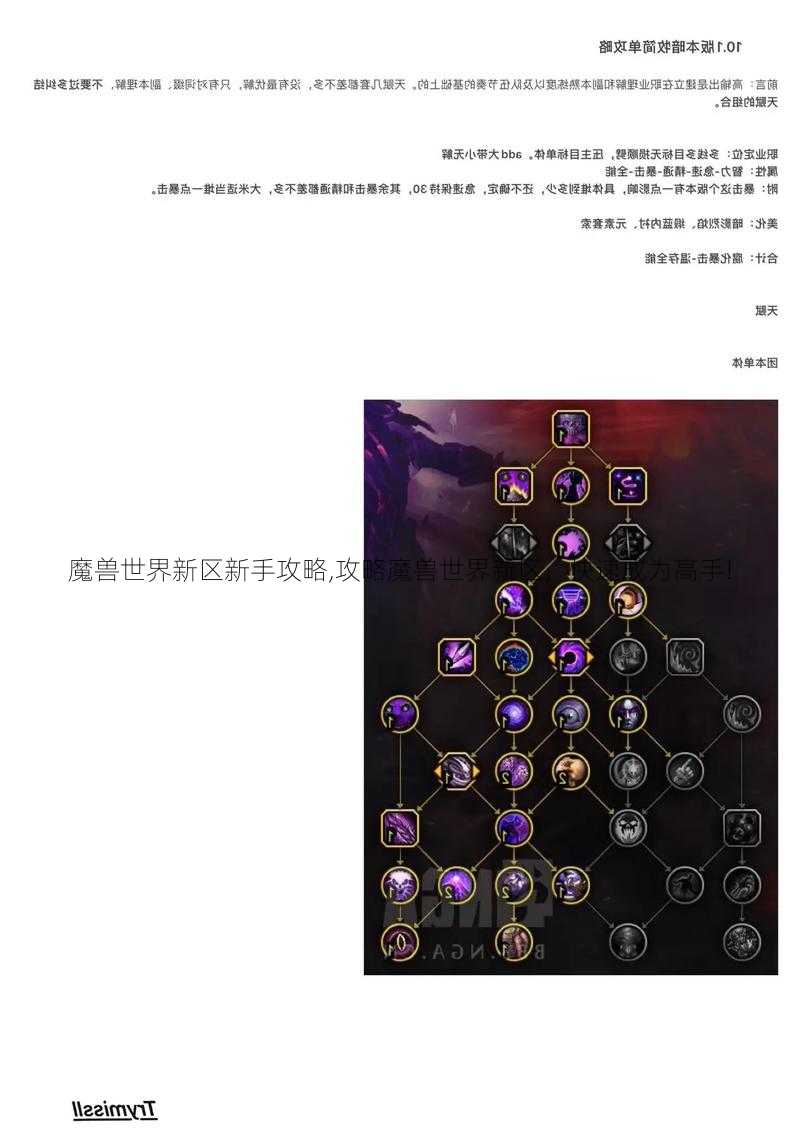 魔兽世界新区新手攻略,攻略魔兽世界新区，快速成为高手!