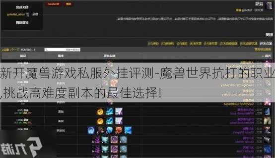 新开魔兽游戏私服外挂评测-魔兽世界抗打的职业,挑战高难度副本的最佳选择!