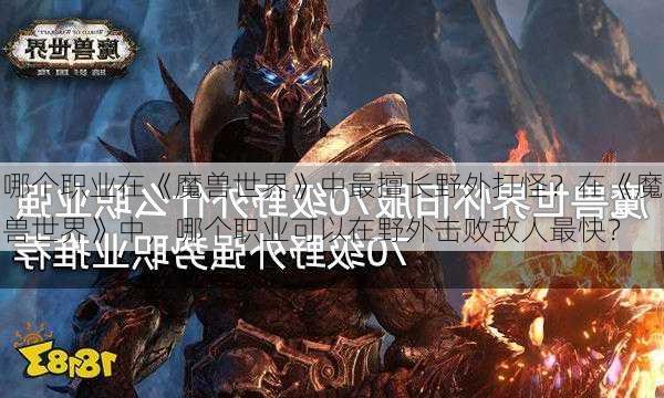 哪个职业在《魔兽世界》中最擅长野外打怪？在《魔兽世界》中，哪个职业可以在野外击败敌人最快？