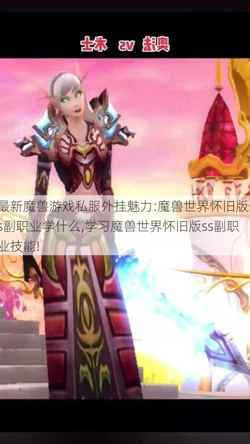 最新魔兽游戏私服外挂魅力:魔兽世界怀旧版ss副职业学什么,学习魔兽世界怀旧版ss副职业技能!